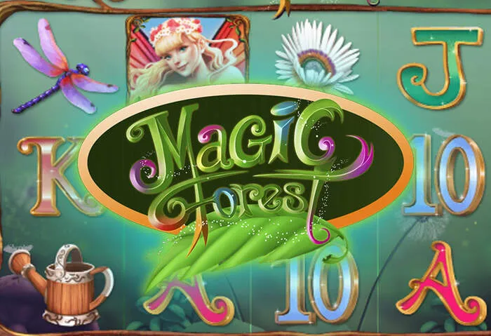 Descubre Liraspin Casino Métodos de Pago confiables.