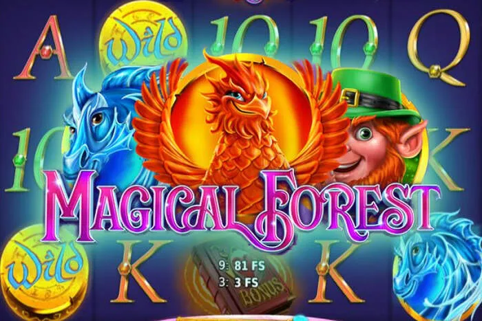 Application mobile Bonus Liraspin Casino fluide
