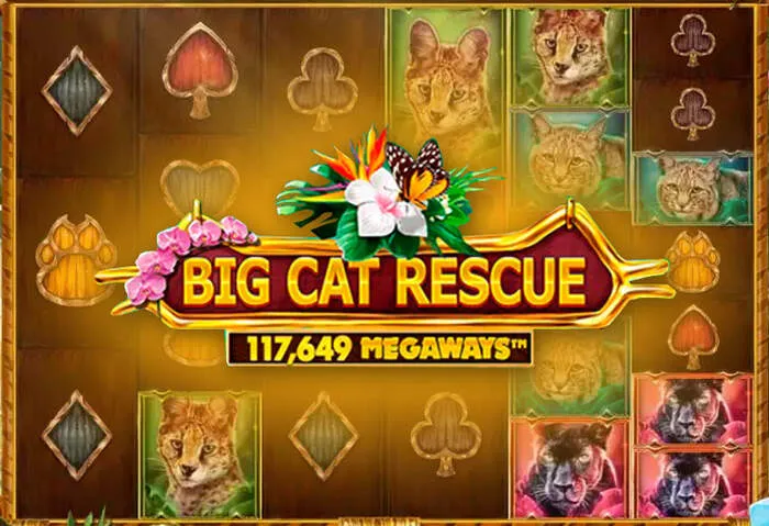 Secure Liraspin Casino deposit & withdrawal options.